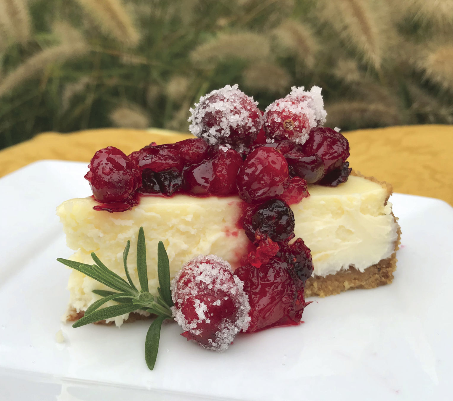 CTF cheesecake slice.jpg